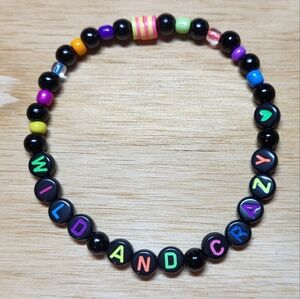 The Way I Loved You- Taylor Swift Friendship Bracelet, Size 8"